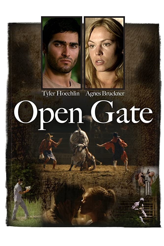 Постер Open Gate